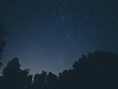 微前端架构实战课程