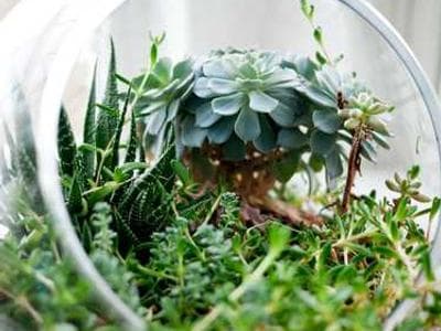 React Native 跨平台开发