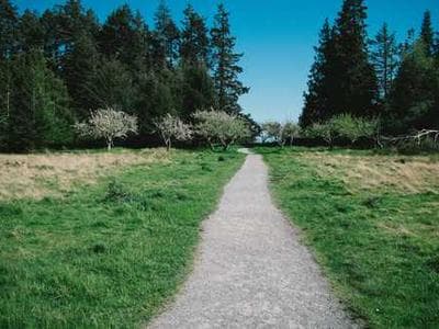 Rust 中文开发指南